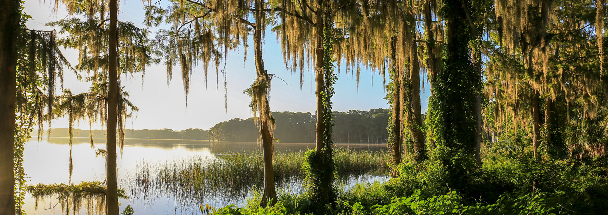Lake Mary FL