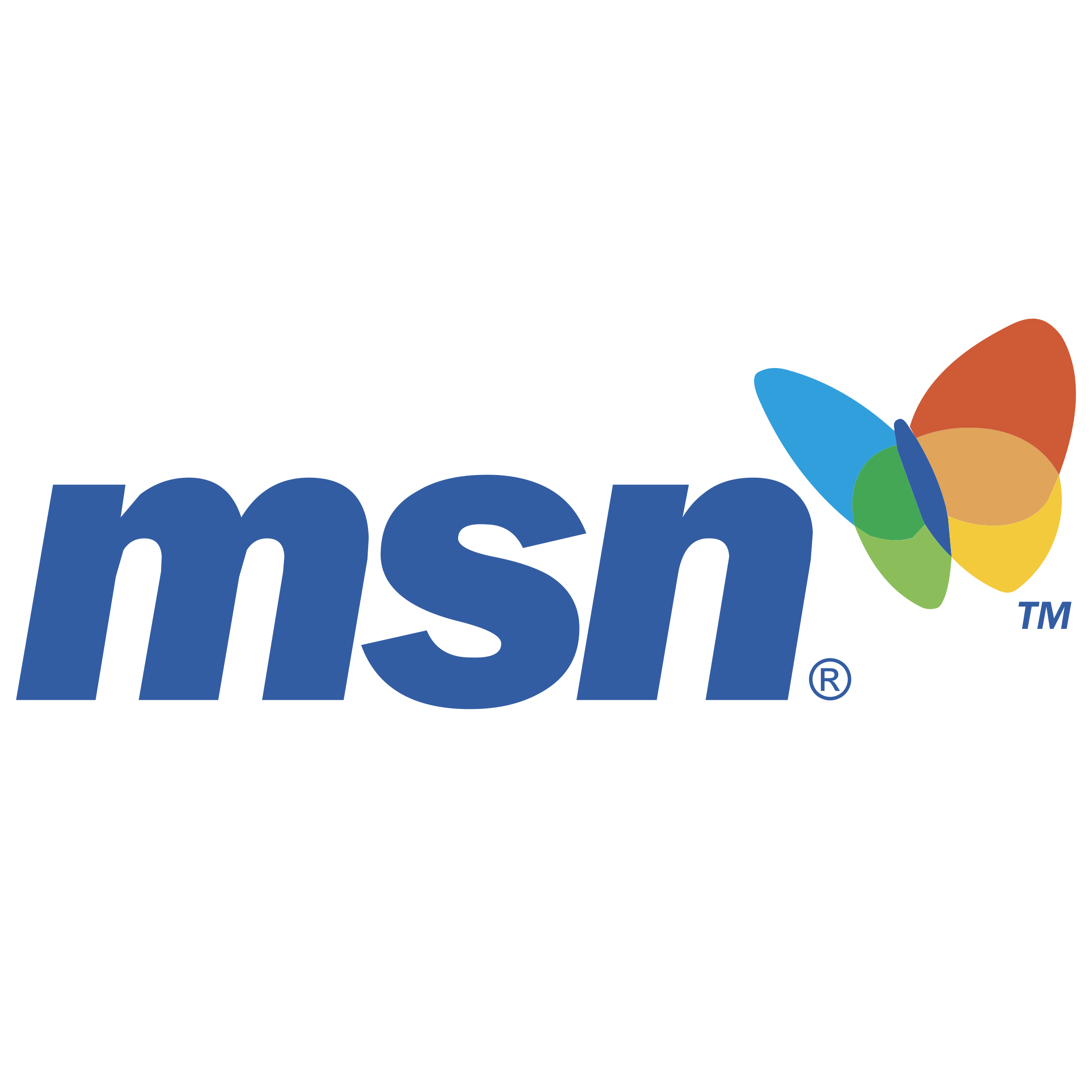 MSN logo