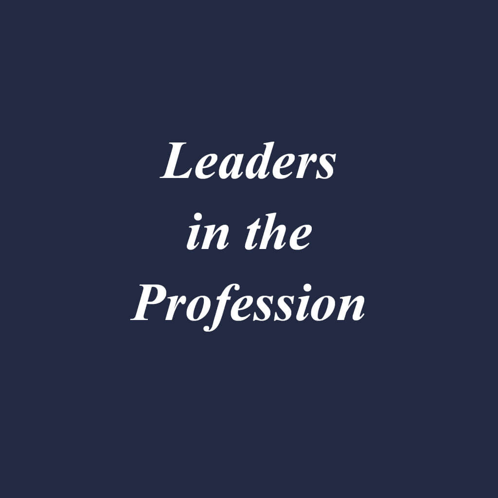 leaders in the profession blue box